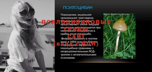 индика Липки