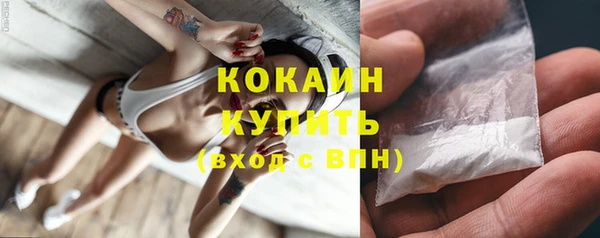 индика Липки