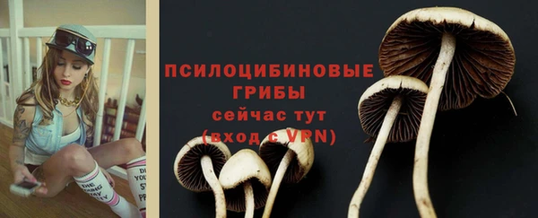 индика Липки